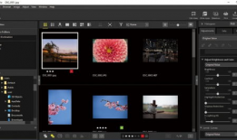 照片与视频,照片与视频中的视觉盛宴