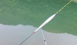 钓鱼调漂视频,视频教程深度解读